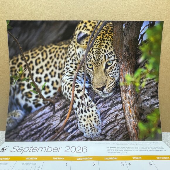 NWOT World Wildlife Fund 16-Mo. Wall Calendar, 9/2025 - 12/2026, 11"T x 8 1/2"W - Picture 12 of 16